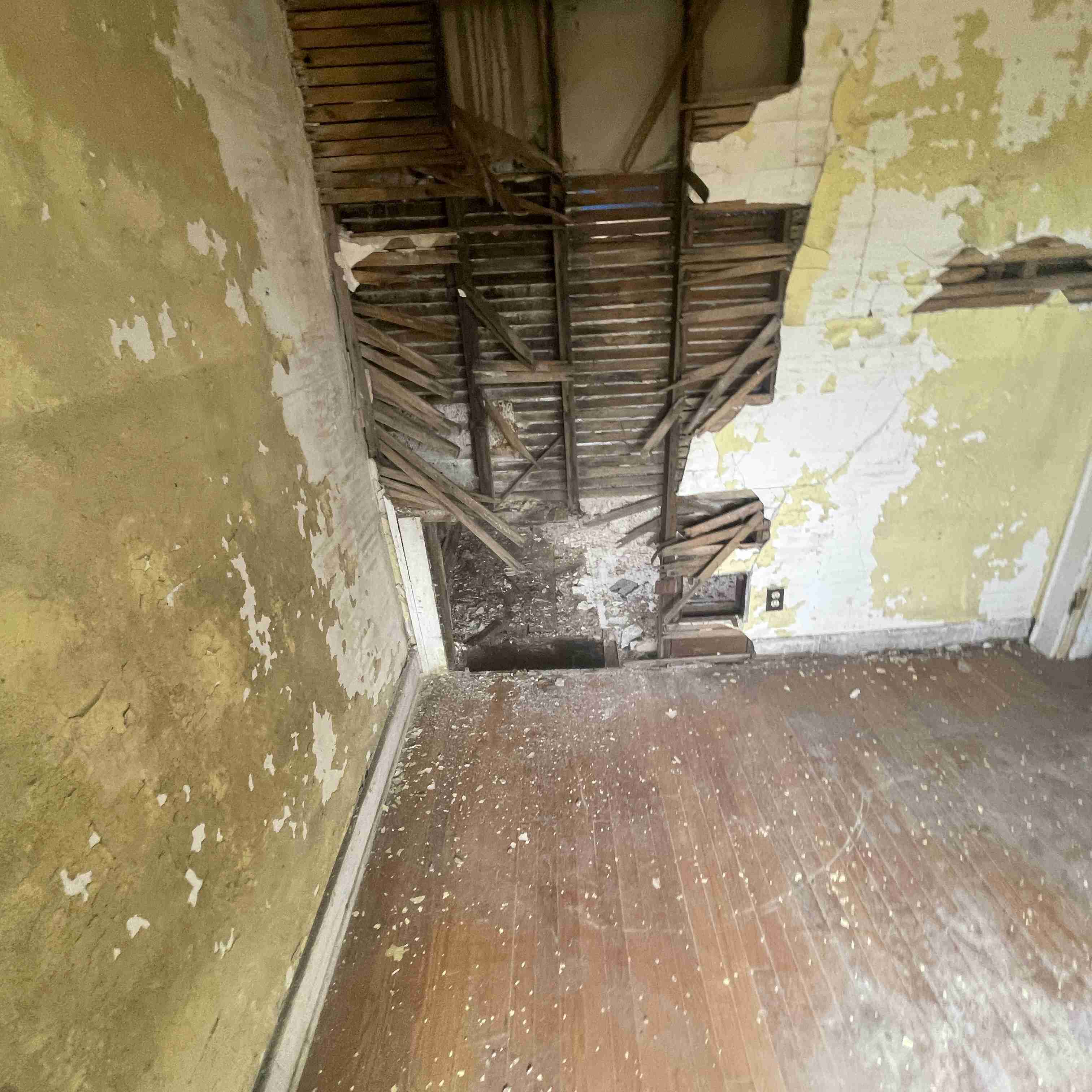 4039 Tuxedo (83).jpg